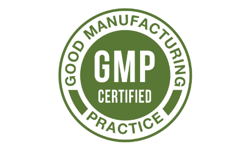 VisiActive GMP Certified